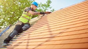 Best Roof Maintenance and Cleaning  in Live Oak, FL