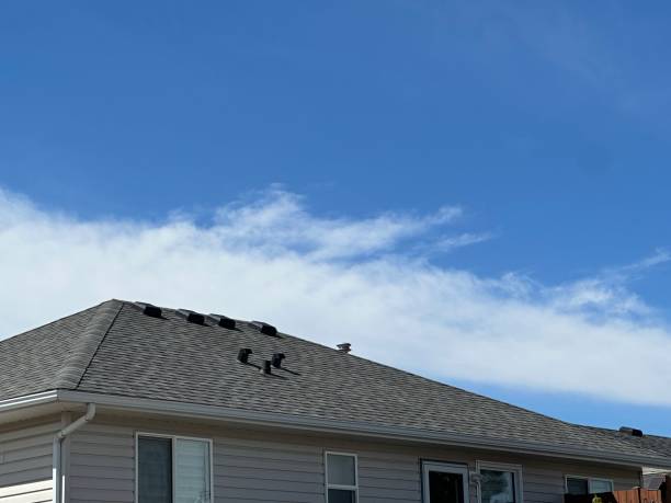 Best Flat Roofing  in Live Oak, FL